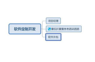 北京软件公司哪家比较好